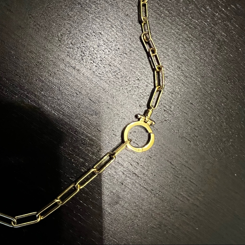 Gorjana Gold Link Necklace - Picture 4 of 5